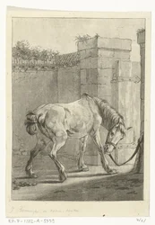 A Horse Tied to a Post