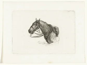 Horse Head to the Left