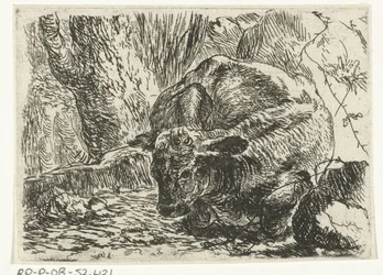 Cow