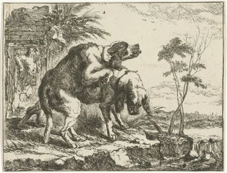 Two Mating Dogs