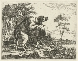 Two Mating Dogs