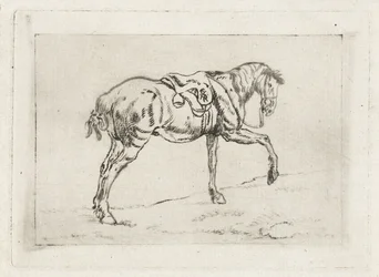 Saddled Horse