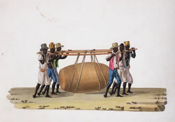 Wine Carriers