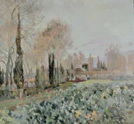 Landscape