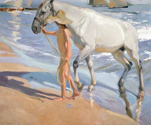The Horse