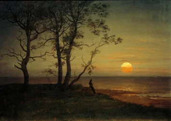 Seashore in Moonlight