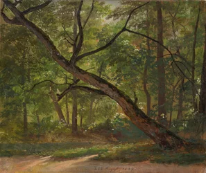 Scene in the Great Garden near Dresden