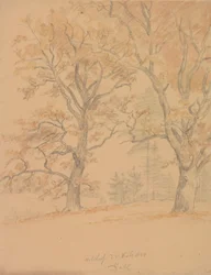 Two Oak Trees with Autumn Leaves