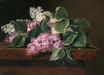 Lilac on a Ledge