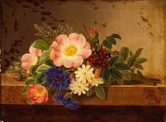 Wild Flowers, Cornflowers and other Flowers on a Ledge