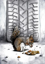 Squirrel by Tire Track