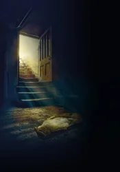 All Opened the Door is Not Freedom, 2022