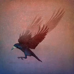 Bird Kingdom