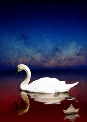 Bird Kingdom 4