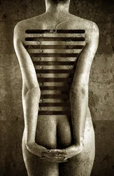 Body, 2013