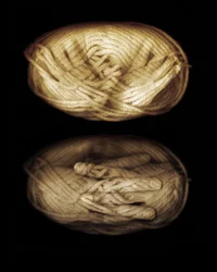 Yarn hands