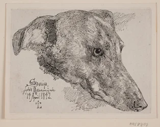 Dog Head, Snip