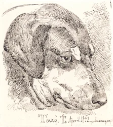Dog Head, Terry