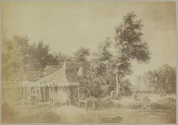 Photoreproduction of the Painting 