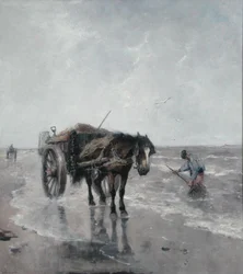 Sea Breezes