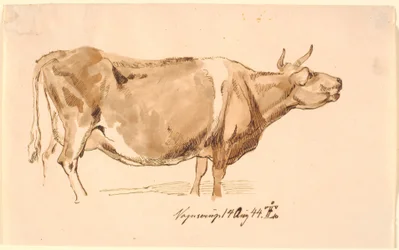 Roaring Cow