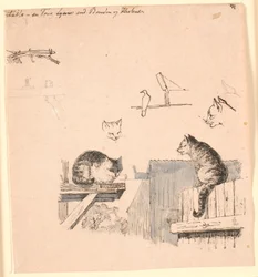 The two cats. Studies of cat heads, a bird, a cat ear, and beam work. Illustration for Kaalund