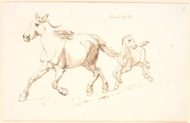 Galloping Mare with Foal