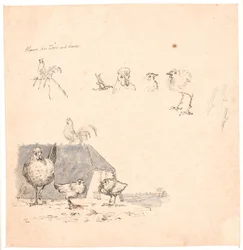 The Cockerels. Illustration for Kaalund