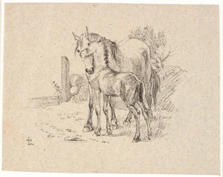 The Horse and the Foal