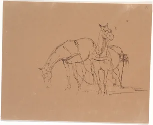 Horse Team