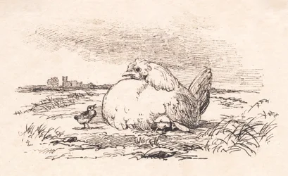 The Chicks