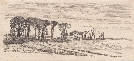 Landscape with a row of trees