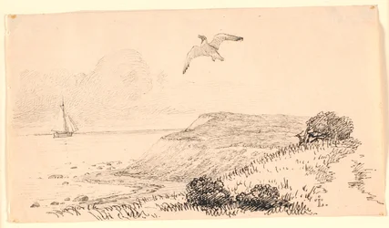 The Seagull. Illustration for Kaalund