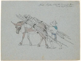 Mule Loaded with Thin Logs and Followed by the Driver