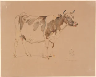 Standing red-spotted cow