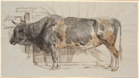 Standing Bull in its Stall