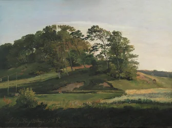 Wooded Hills at Sørupvang