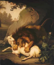 A Lion attacking a Goat, 1785