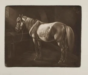 Horse by the Crib