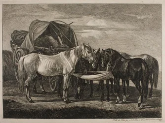 Horses by a Hungarian Cart