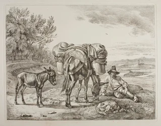 Packed Mule with Resting Driver