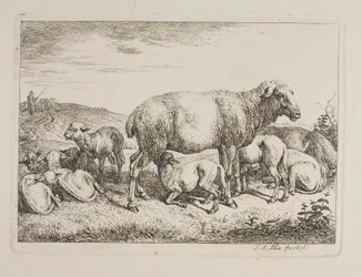 Sheep with Lambs