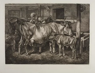 The Cows Being Groomed