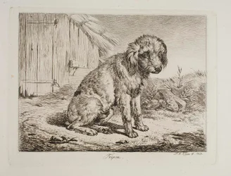 The Poodle Fripon