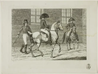 Riding School and Horses
