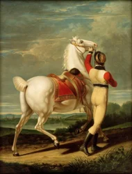 Favorite Horse of Frederick II of Württemberg