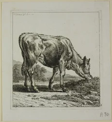 Calf Feeding, from Die Zweite Thierfolge