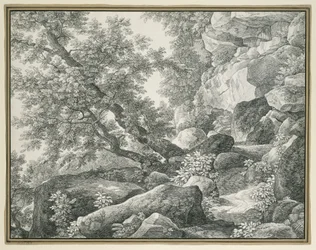 Rocky Landscape with Trees