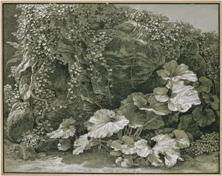 Large-Leaved Plants at an Ivy-Covered Rock Grotto