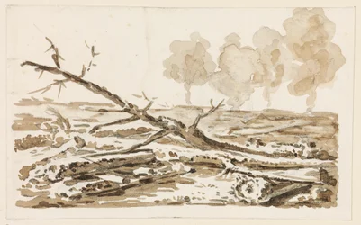 Landscape Sketch with a Grove on the Ground